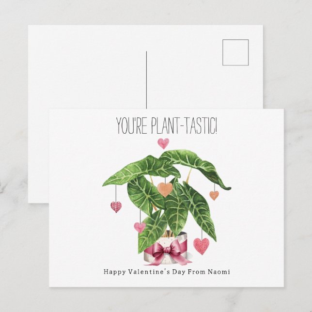 Plant-tastic Houseplant Pun Classroom Valentine  Postcard (Front/Back)