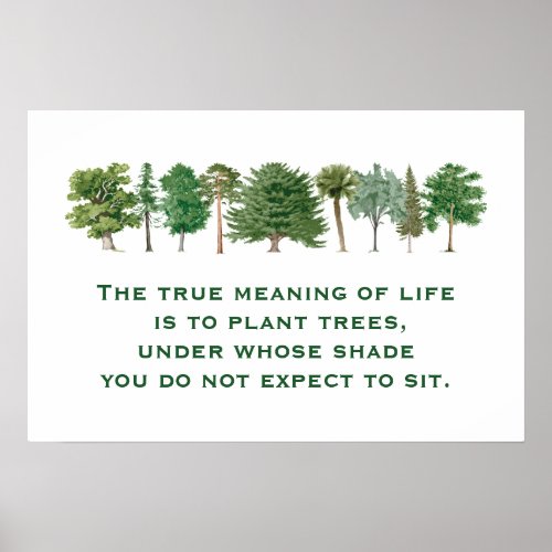 Plant Trees Meaning of Life Environmental Saying B Poster