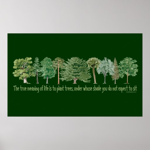 Plant Trees Poster | Zazzle