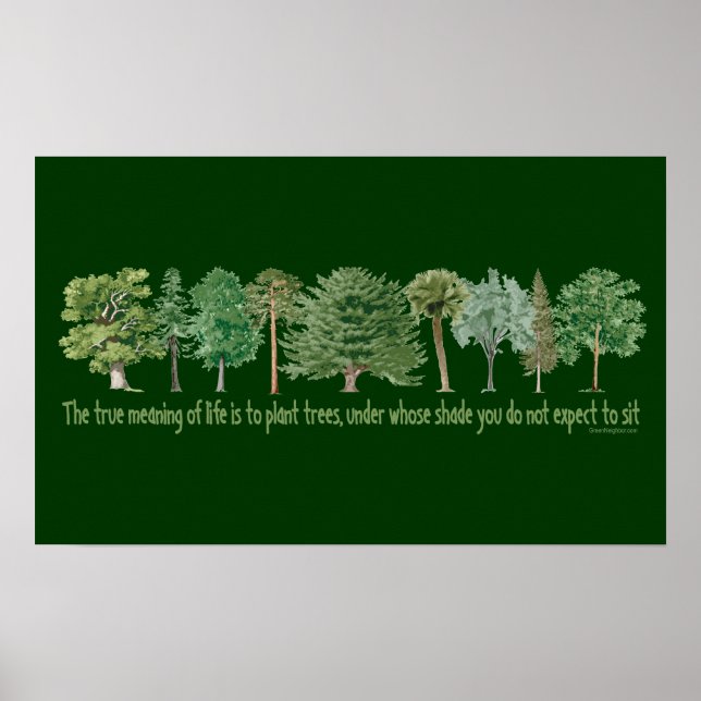Plant Trees Poster (Front)