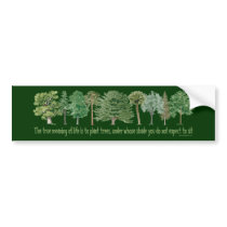Plant Trees - Tree Lover, Hugger Bumper Sticker