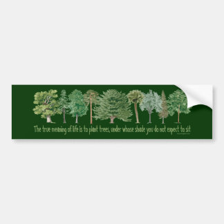 Plant Trees - Tree Lover, Hugger Bumper Sticker