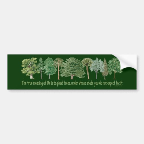 Plant Trees _ Tree Lover Hugger Bumper Sticker
