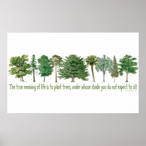 Plant Trees _ Tree Lover Hugger Poster