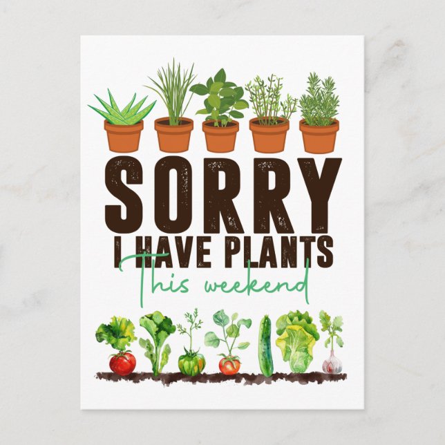 Plant Veggie vegetable Vegetarian appreciation Postcard (Front)