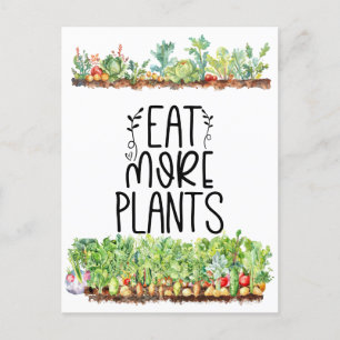 Plant Veggie vegetable Vegetarian Postcard
