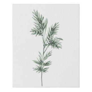 Plant with Berries Canvas Print