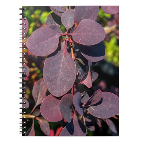 Plant with dark red leaves notebook