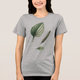 Plantain Leaf Botanical Specimen Tri-Blend Shirt