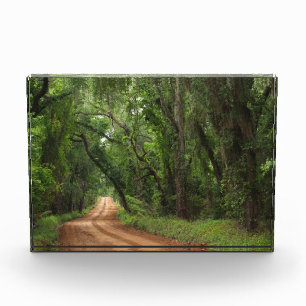 Plantation Road Scenic Background Award