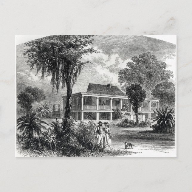 Planter's House on the Mississippi Postcard (Front)