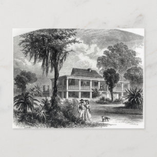 Planter's House on the Mississippi Postcard