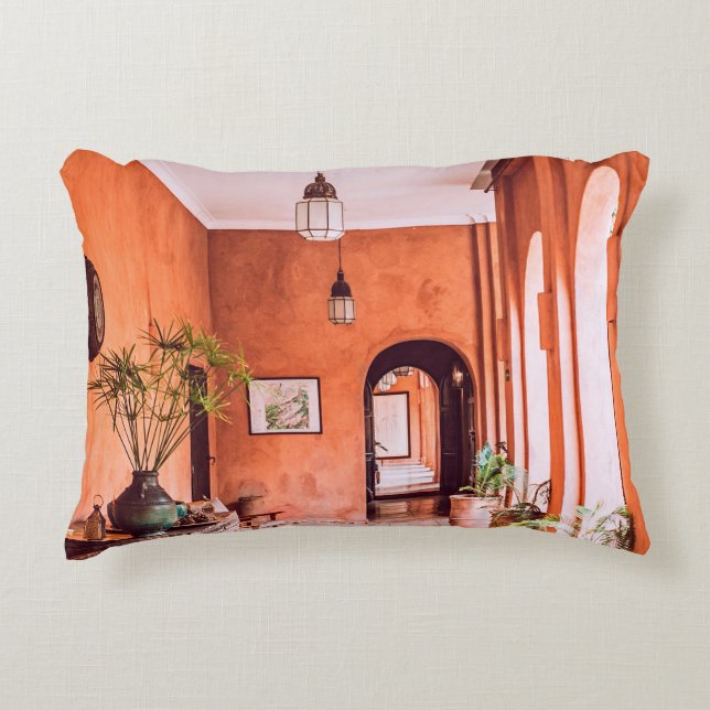 PLANTERS WITH PLANT NEAR AREA RUG INSIDE ROOM ACCENT PILLOW (Front)