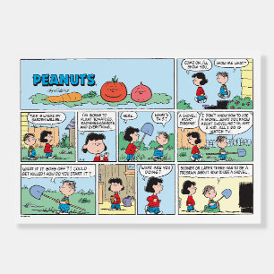 Planting A Vegetable Garden Foam Board