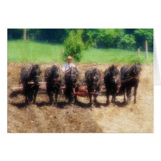 Planting Time Cards (Front Horizontal)
