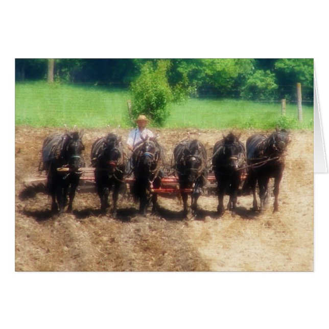 Planting Time Cards (Front Horizontal)