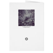 Plants and Grass (Back)