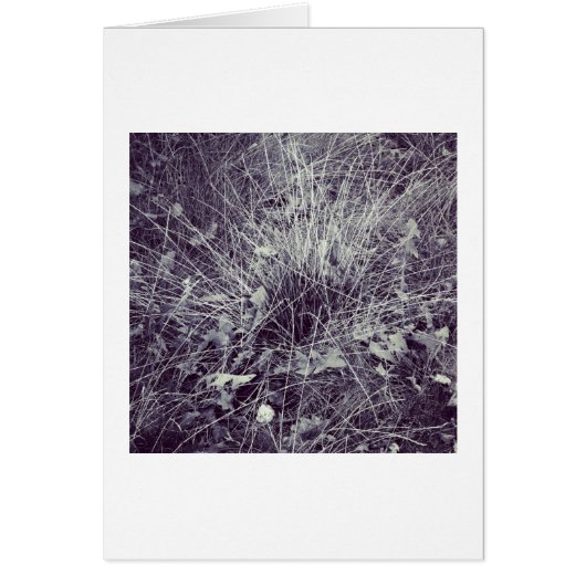 Plants and Grass (Front)