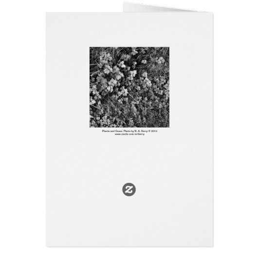 Plants and Grass (Back)