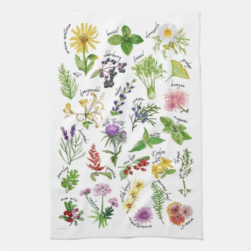 Plants and Herbs Alphabet Kitchen Towel