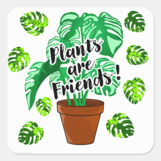 Plants are Friends Potted Monstera sticker