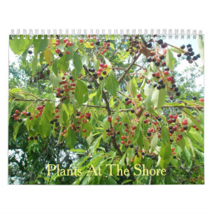 Plants at The Shore Calendar