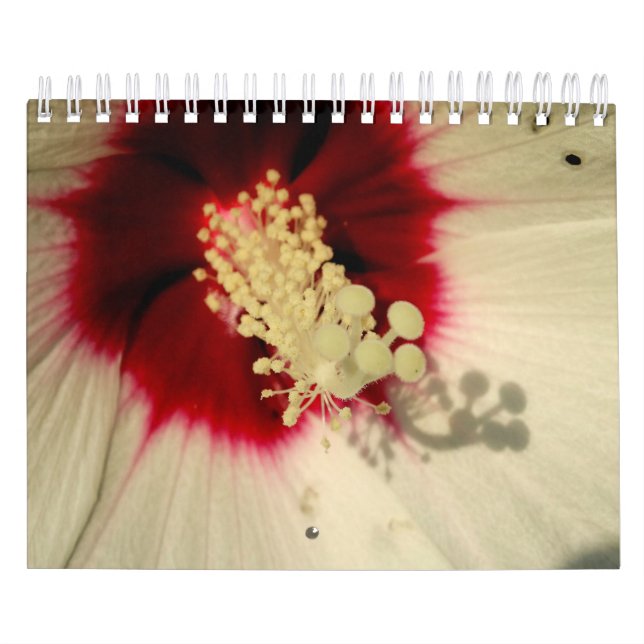 Plants Botanical Photo  Calendar (Cover)