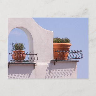 Plants Hanging Out In Positano Italy Postcard