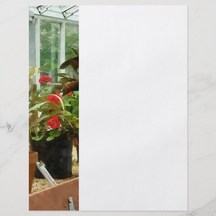 Plants in Greenhouse Full Color Flyer