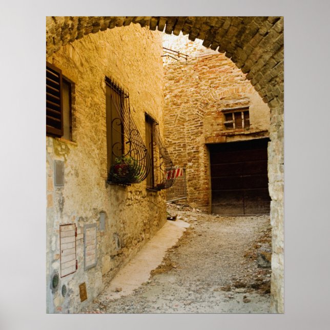Plants in window boxes, San Gimignano, Siena Poster (Front)