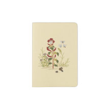 Plants & Insects _Cockscomb