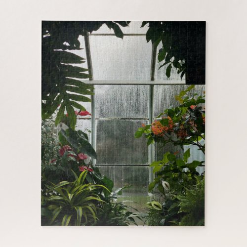 Plants Inside Greenhouse on Rainy Day Jigsaw Puzzle