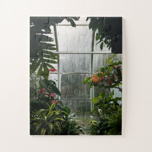 Plants Inside Greenhouse on Rainy Day Jigsaw Puzzle