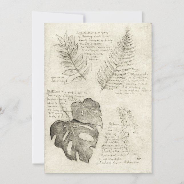 Plants Invitation (Front)