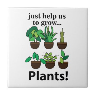 Plants Just Help Us To Grow Plants