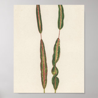 Plants Mom Dad Romantic Gardener Gift Poster