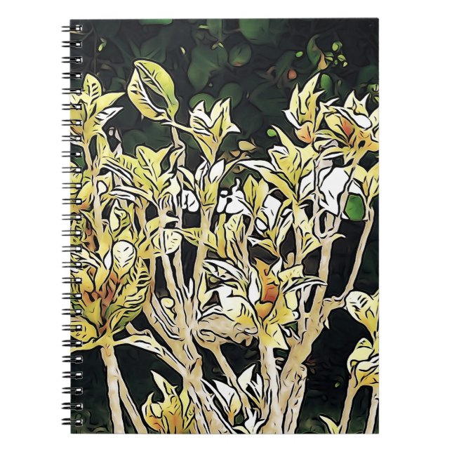 Plants of Cuba Notebook (Front)