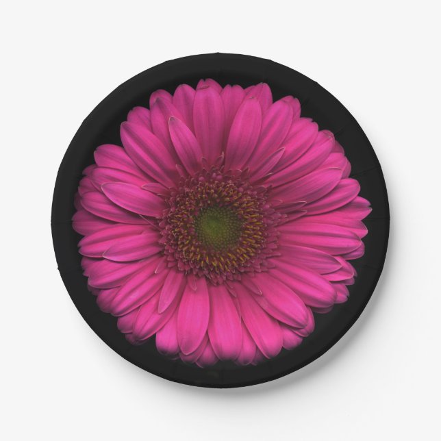 Plants on Plates Pink Daisy (Front)