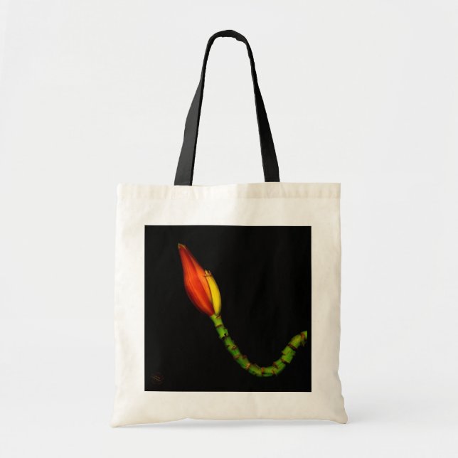 Plants on Totes — Red Banana Flower (Front)