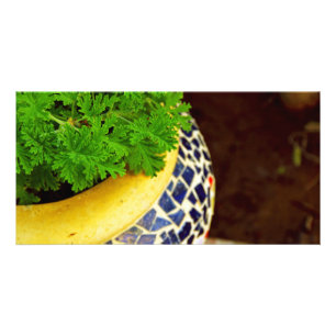 Plants Pot Card