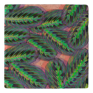 Plants Tropical Calathea Maranta Leaf Pattern Trivet