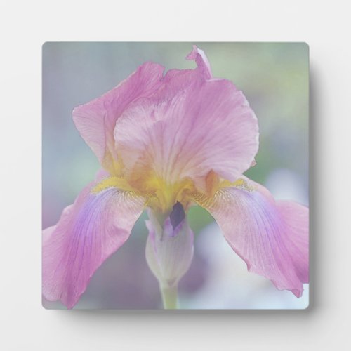 Plaque wEasle The Iris in Pastels