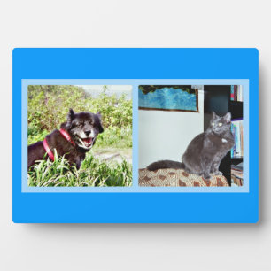 Plaque with pet images