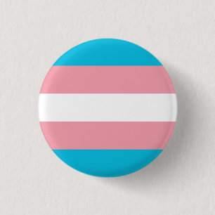 Plate Flag Transsexual - Love is Love Button