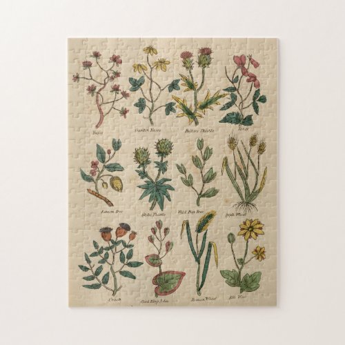 Plate of Plants Jigsaw Puzzle