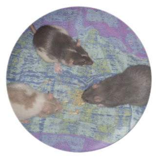 Rat Plates | Zazzle