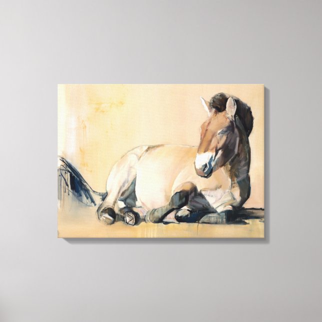 Plateau Sun Canvas Print (Front)