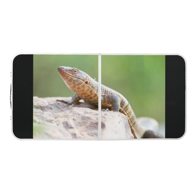 Plated Lizard Beer Pong Table (Top)