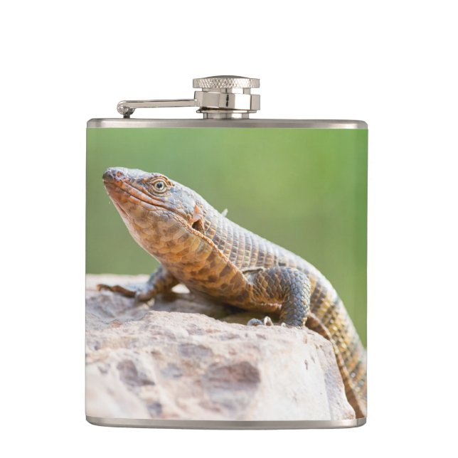 Plated Lizard Flask (Front)