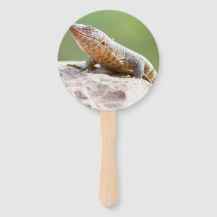 Plated Lizard Hand Fan